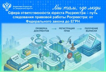 Профессия юрист (юрисконсульт): сфера ответственности и задачи юристов Росреестра