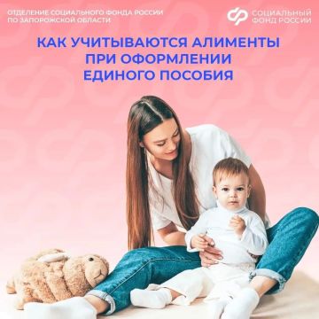 Как Соцфонд по Запорожской области учитывает алименты при оформлении единого пособия