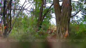Гвардейцы 64 отдельной мотострелковой бригады группировки войск "Восток" выявили и уничтожили укрытия противника на Запорожском направлении