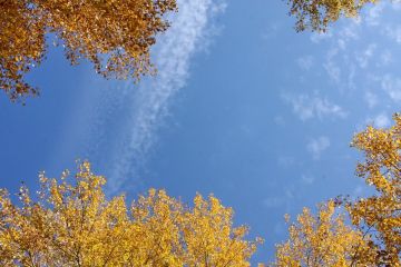 ������� ������ �� �������, 26 ��������