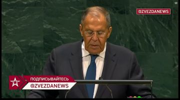 Цели СВО будут достигнуты, а угрозы безопасности России – устранены, — Лавров