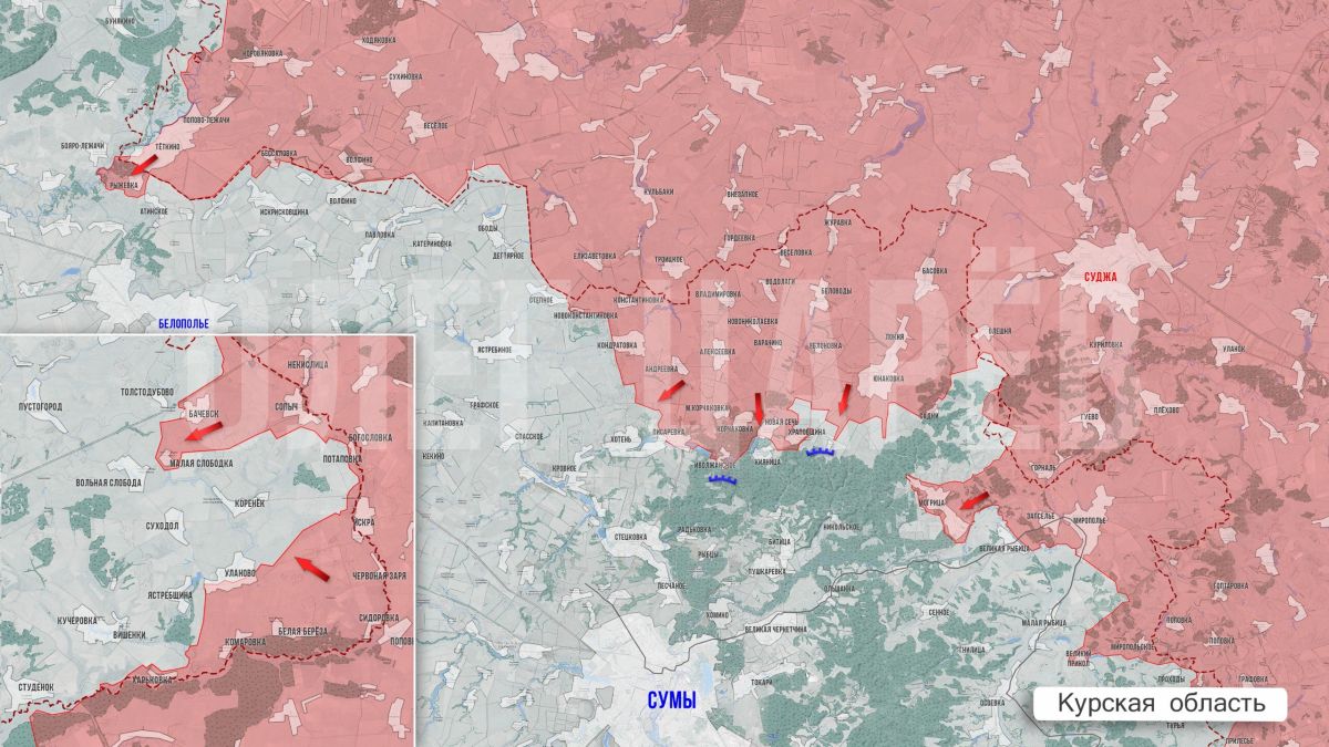 Олег Царёв: Фронтовая сводка 28 сентября Олег Царёв: Фронтовая сводка 28 сентября