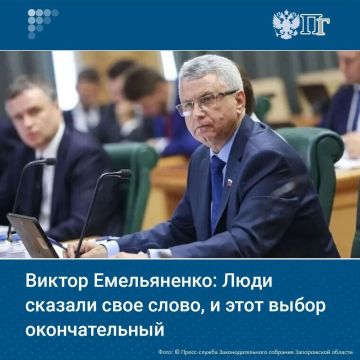������ �����������: � �������������� ������ ������������ �������� � ��������� ���������������� �������� ����������� �������, ������ �������� ������� ������� � ������ �� 2028 ���