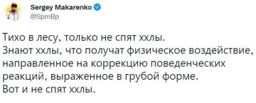 Прекрасное с просторов. ЗАПОРОЖСКИЙ ФРОНТ