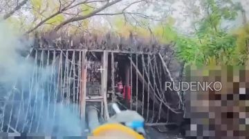 ������ �������: ������� ���������������� ���� ����������� ����� ������� ���������� ���������� � ����������� �������