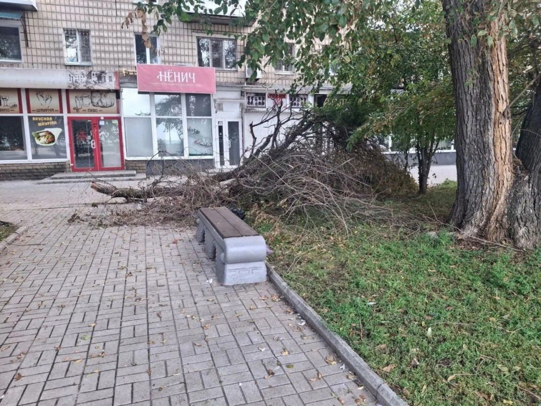 Осень вступила в свои права, а с ней у МБУ "Благоустройство Осень вступила в свои права, а с ней у МБУ "Благоустройство