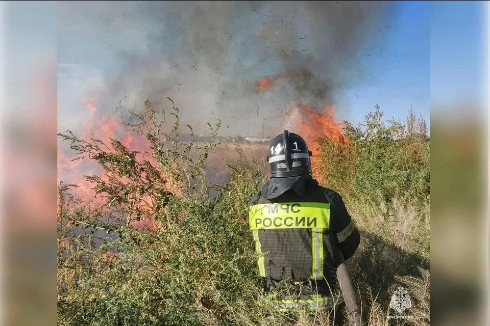 Пять пожаров потушили в Запорожской области за сутки