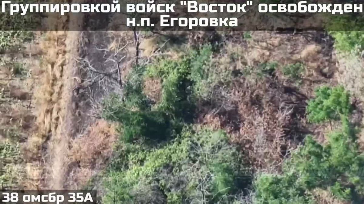 Группировка "Восток" ВС РФ сегодня освободила населенных пункт Егоровка в Запорожской области