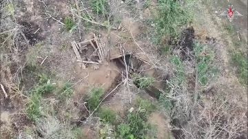� ����������� ������� ����������� ��������