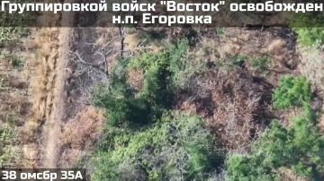 Группировка "Восток" ВС РФ сегодня освободила населенных пункт Егоровка в Запорожской области