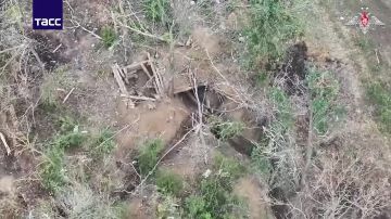�� �� ���������� �������� � ����������� �������, �������� ��