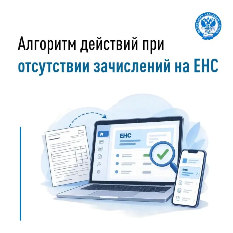 Межрайонная ИФНС России № 2 по Запорожской области разъясняет порядок действий, если сумма не отразилась на Едином налоговом счёте (ЕНС), и как найти платеж