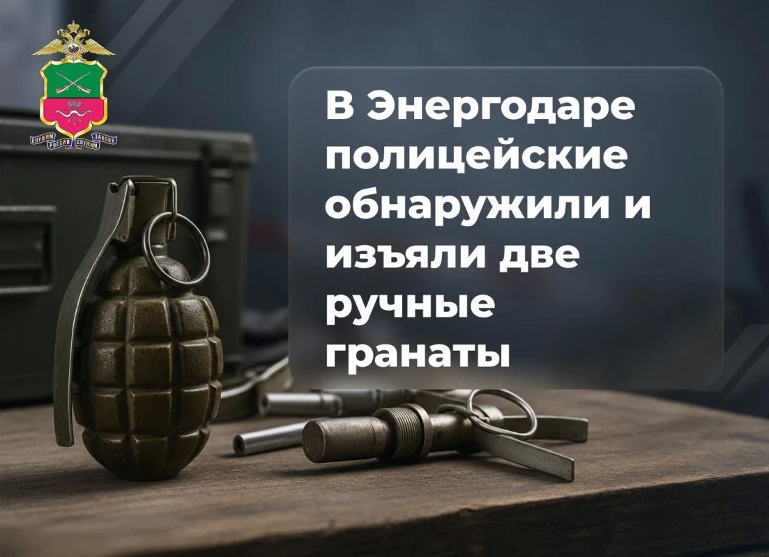 У жителя Энергодара изъято две гранаты