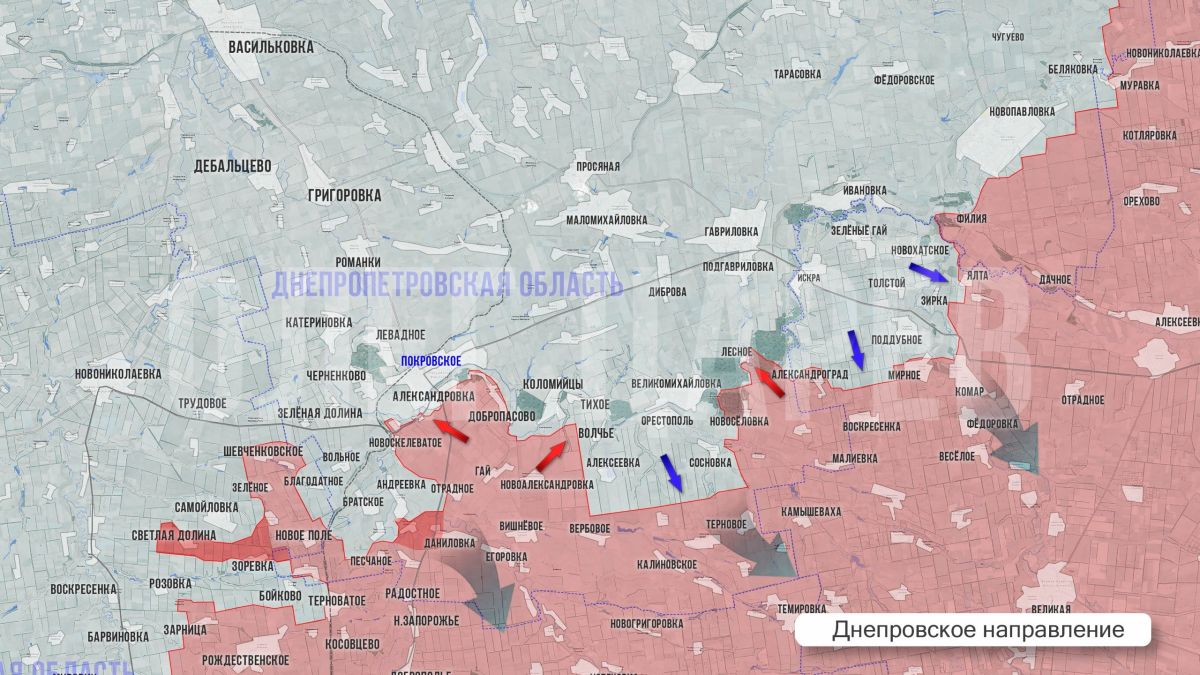 Олег Царёв: Фронтовая сводка. Фронтовая сводка 4 октября Олег Царёв: Фронтовая сводка. Фронтовая сводка 4 октября