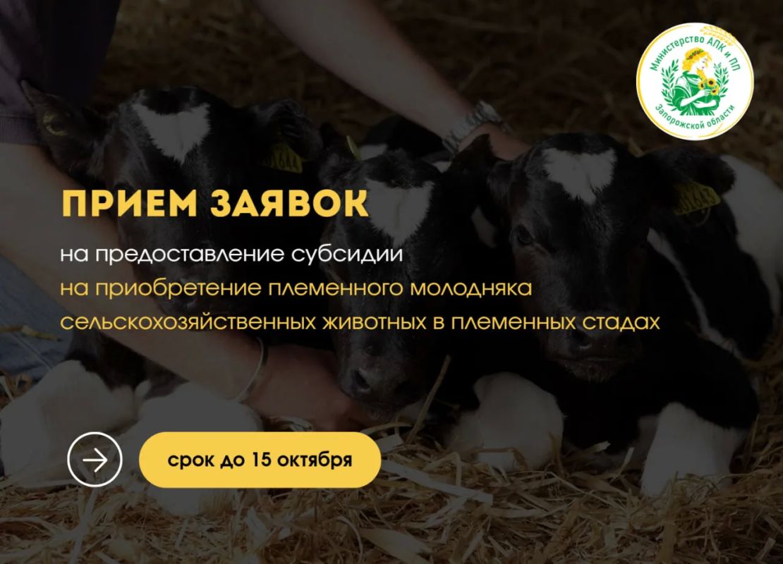 Информируем о начале отбора на предоставление субсидий на возмещение части затрат на приобретение племенного молодняка сельскохозяйственных животных в племенных хозяйствах, зарегистрированных в государственном племенном...