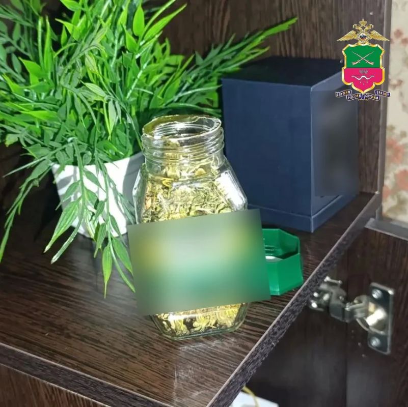 Вырастил для себя — теперь ответит по закону Вырастил для себя — теперь ответит по закону