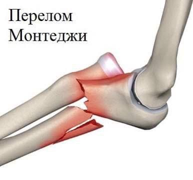 Еженедельная авторская колонка;