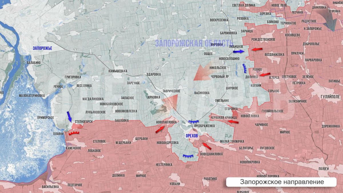 Олег Царёв: Фронтовая сводка 5 октября Олег Царёв: Фронтовая сводка 5 октября