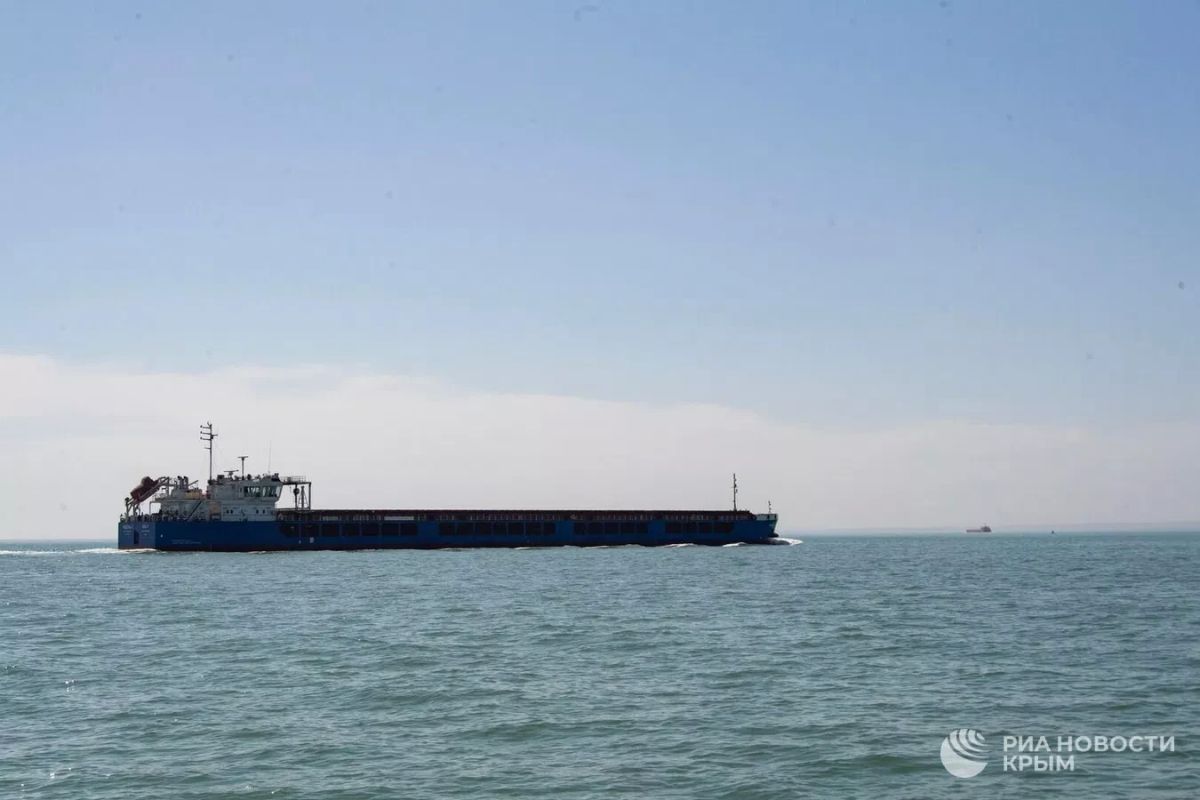 Нарушения судоходства в Азовском и Черном морях компенсируют по решению правительства РФ
