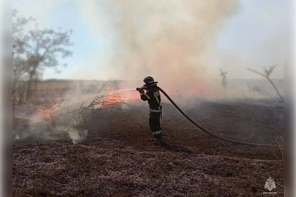 Три пожара потушили за сутки в Запорожской области