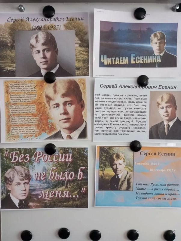 «Отговорила роща золотая»: в библиотеке села Николаевка прошел литературный час к дню рождения Сергея Есенина