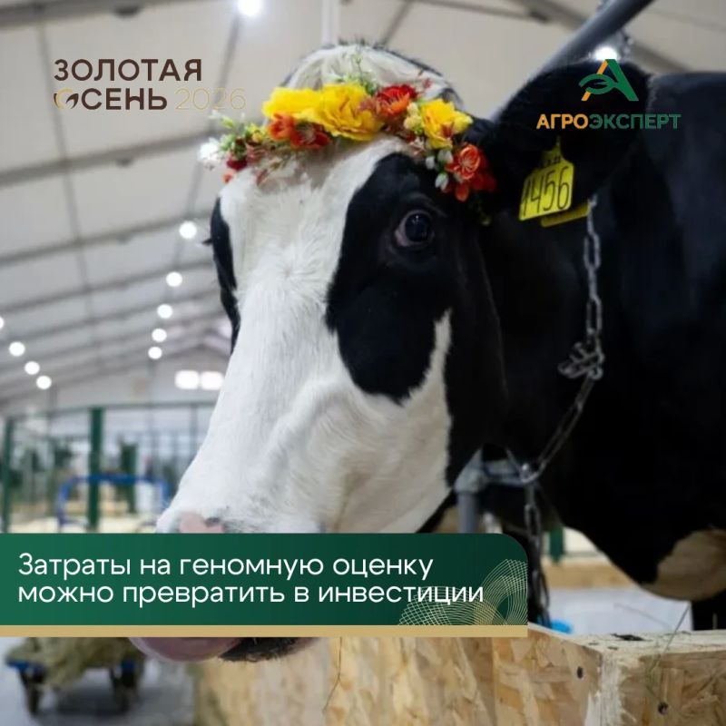 Генетика в животноводстве: затраты предлагают превратить в инвестиции