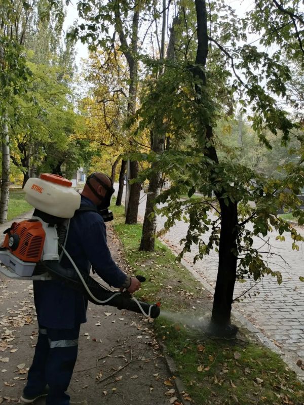 В Бердянске продолжается профилактическая обработка деревьев и газонов от червеца В Бердянске продолжается профилактическая обработка деревьев и газонов от червеца