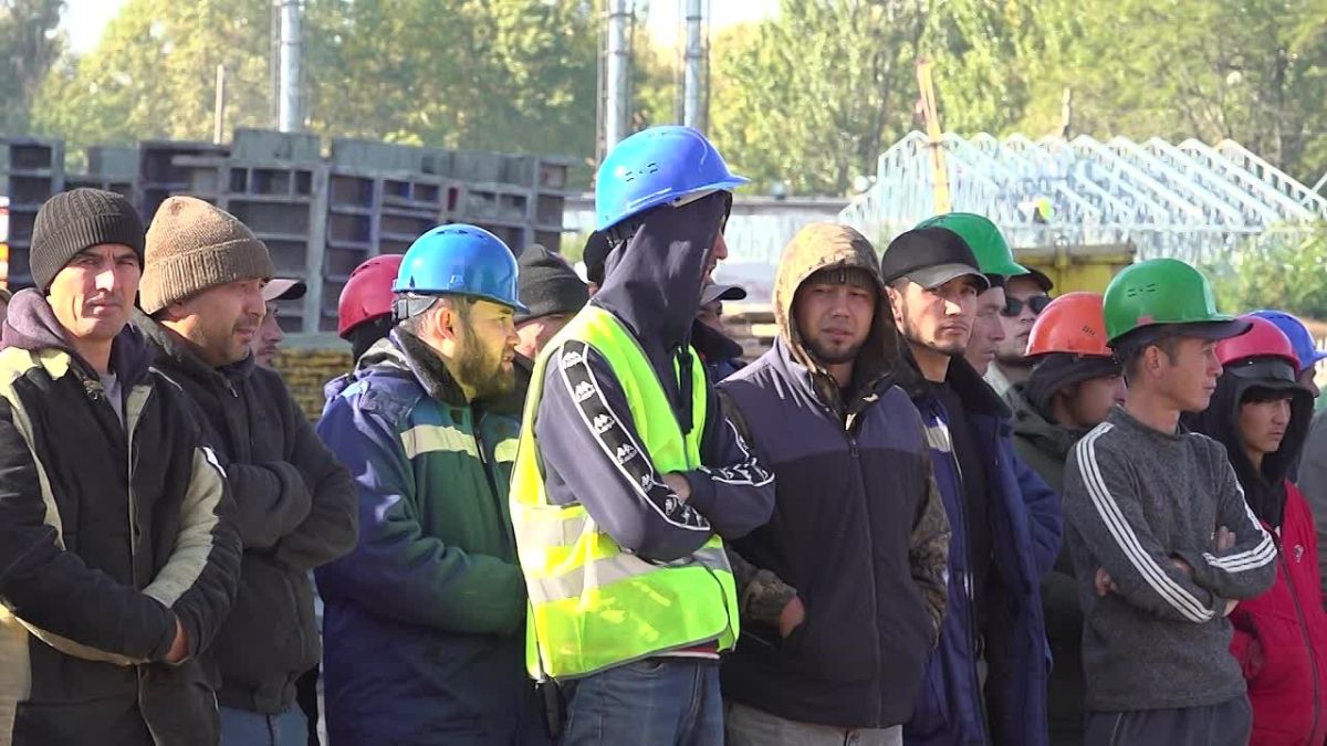 «Нелегал-Кордон»: в Запорожской области выявлено более 90 нарушений миграционного законодательства