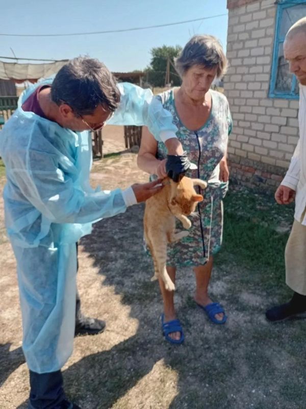 Специалисты Приморского филиала провели профилактическую вакцинацию животных в селах Зеленовка и Орловка Специалисты Приморского филиала провели профилактическую вакцинацию животных в селах Зеленовка и Орловка