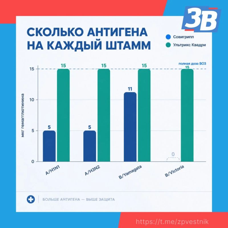 Какие вакцины от гриппа доступны в Запорожской области? Какие вакцины от гриппа доступны в Запорожской области?