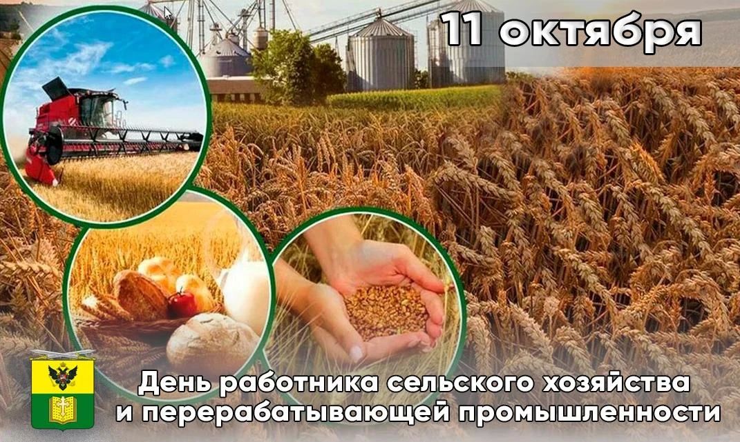 Сегодня в России отмечается День работника сельского хозяйства и перерабатывающей промышленности