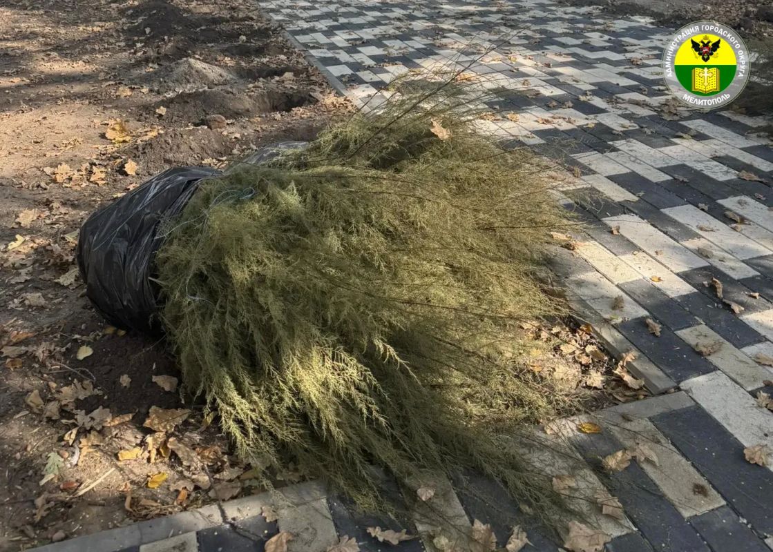 В Мелитополе в рамках акции «Сохраним лес» прошла высадка деревьев и кустарников В Мелитополе в рамках акции «Сохраним лес» прошла высадка деревьев и кустарников