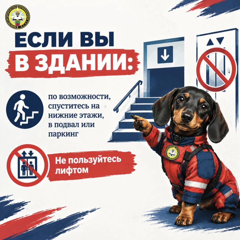 Об опасности БПЛА. Спасатель Луна снова на связи! На этот раз наш четвероногий друг расскажет об опасности БПЛА Об опасности БПЛА. Спасатель Луна снова на связи! На этот раз наш четвероногий друг расскажет об опасности БПЛА
