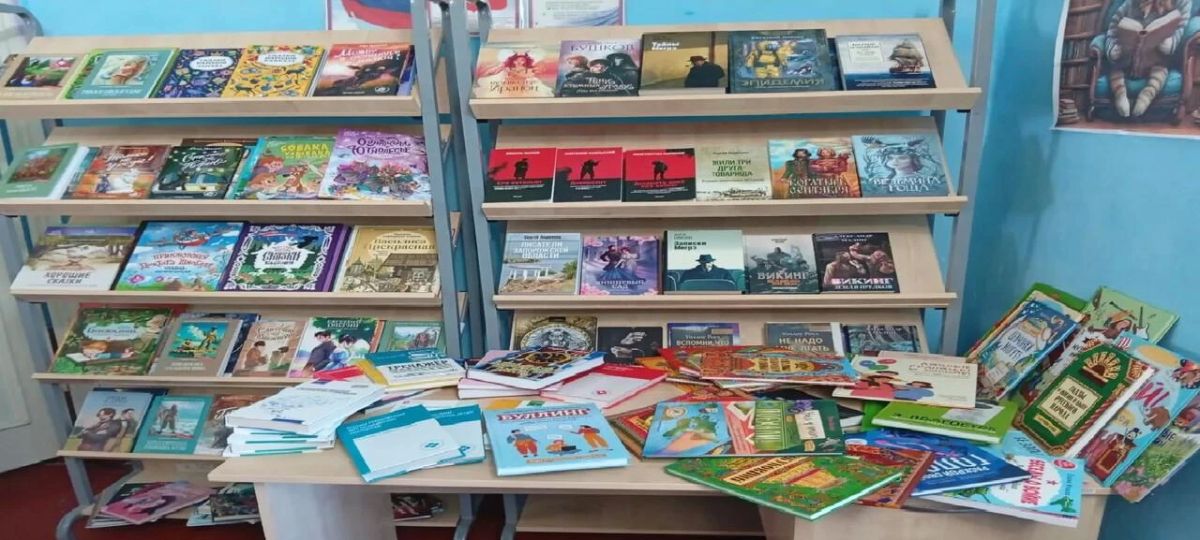 В библиотеке села Новотроицкое пополнился книжный фонд