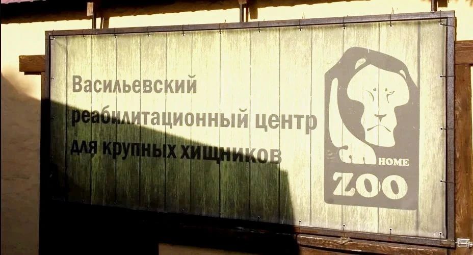 Реабилитационному центру для крупных хищников передали ветеринарные препараты для питомцев
