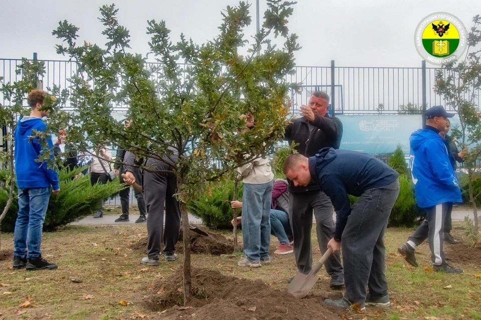 В Мелитополе высадили дубы на Аллее отцов