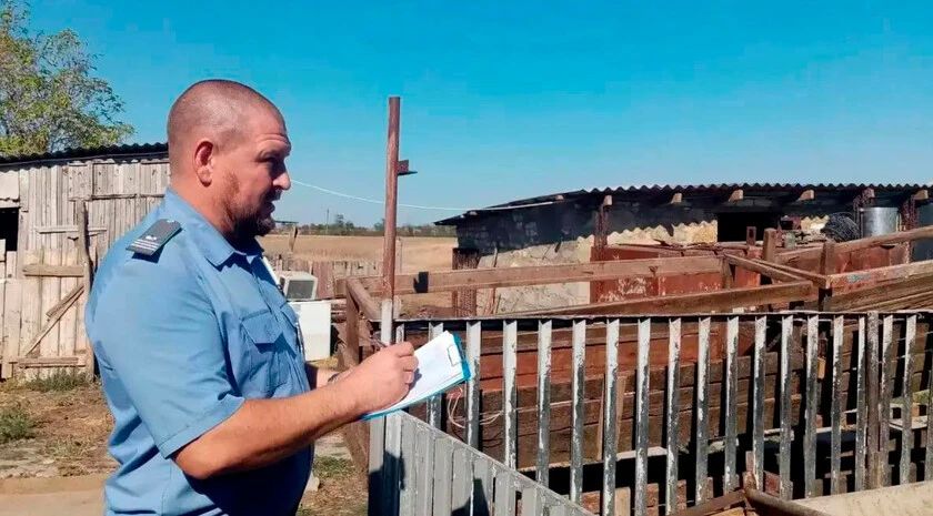 Выявлены нарушения в содержании мелкого рогатого скота в хозяйстве села Спасское