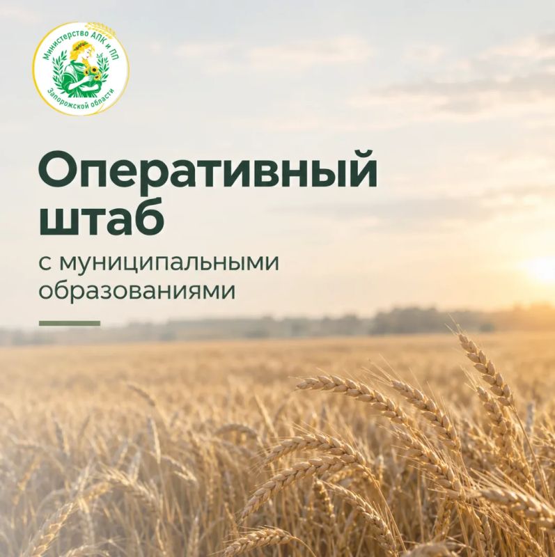 В Запорожской области обсудили вопросы реализации зерна, агрострахования и налоговой нагрузки на аграриев