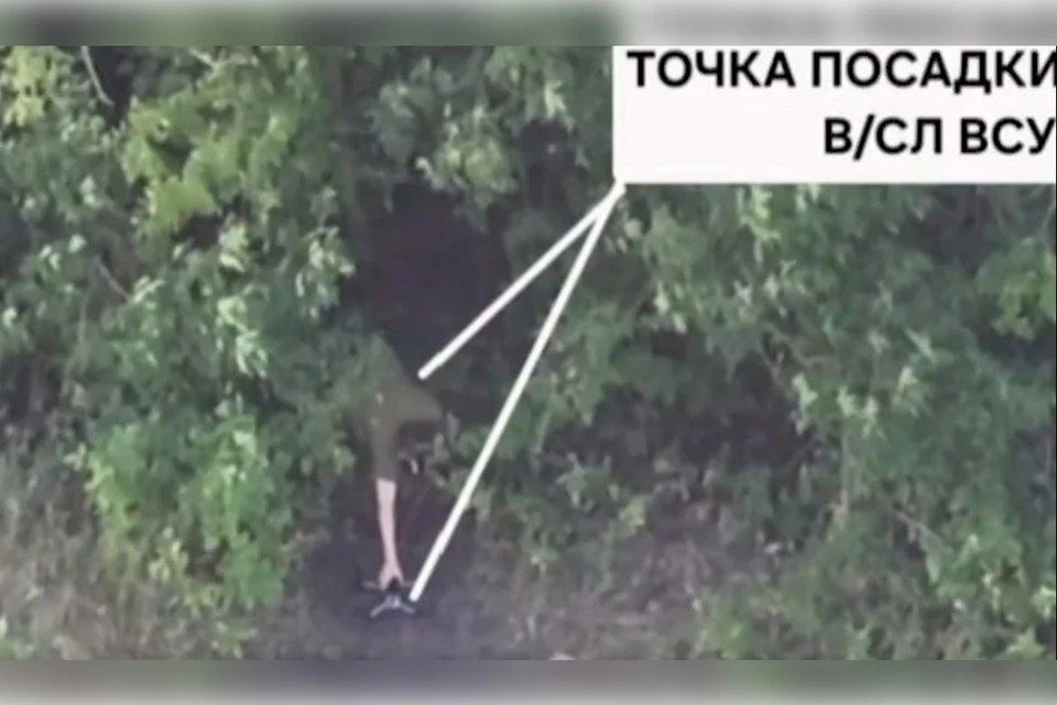 Замаскированные укрытия дроноводов ВСУ разрушили в Запорожской области
