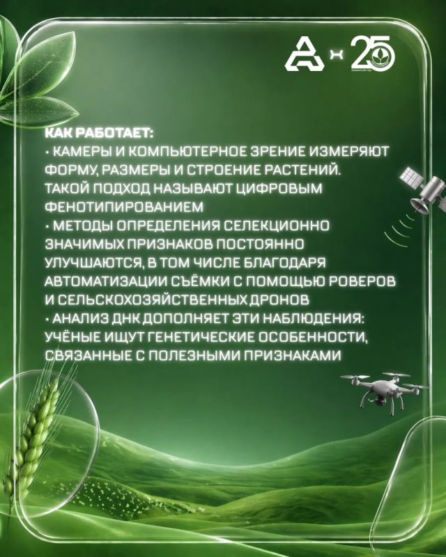 Рубрика #АгроТех — в которой мы вместе с коллегами из Агропромцифры разбираем, как работают дроны, спутники и цифровые решения — простым языком и с реальной пользой для аграриев Рубрика #АгроТех — в которой мы вместе с коллегами из Агропромцифры разбираем, как работают дроны, спутники и цифровые решения — простым языком и с реальной пользой для аграриев