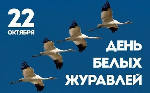 Сегодня День Белых журавлей