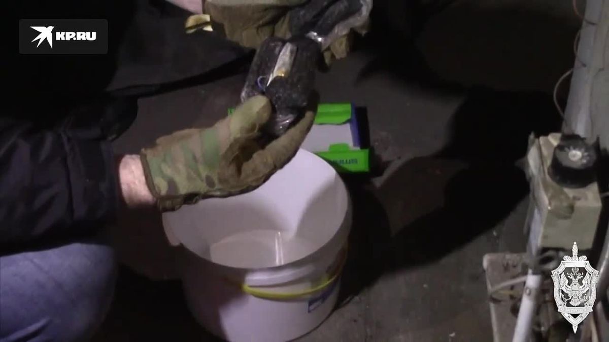 Собирались подорвать газопровод: Осуждена группа диверсантов, пытавшихся лишить Бердянск газоснабжения видео
