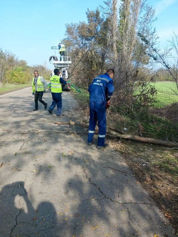 #нам_пишут. Многие жители микрорайона Опытная помнят, как еще несколько лет назад нам приходилось своими силами проводить санитарную обрезку деревьев вдоль дороги #нам_пишут. Многие жители микрорайона Опытная помнят, как еще несколько лет назад нам приходилось своими силами проводить санитарную обрезку деревьев вдоль дороги