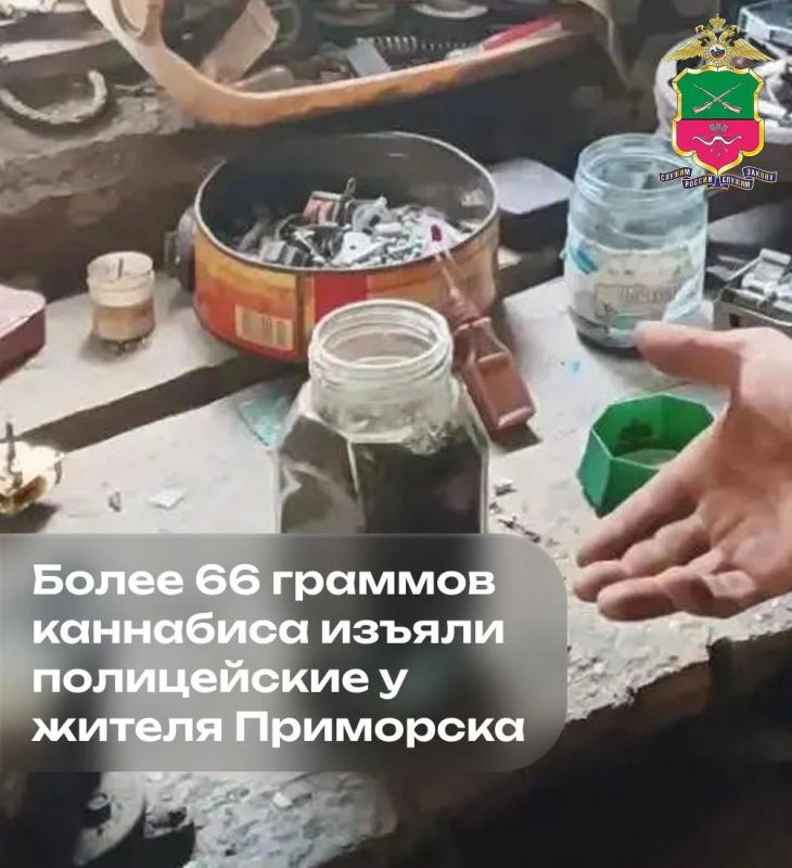 До трех лет лишения свободы грозит жителю Приморска