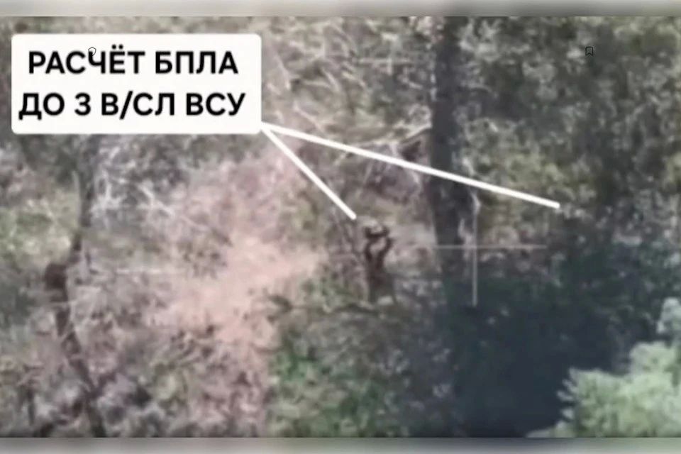Пункты управления дронов "Баба-Яга" уничтожили артогнем на Запорожье