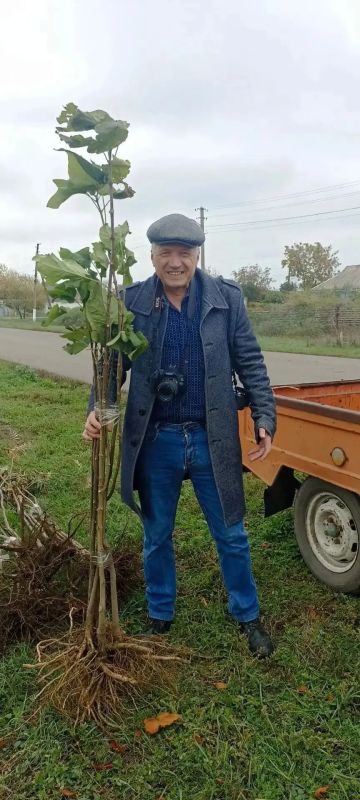 Корни памяти. В преддверии годовщины освобождения Веселовского района от фашистских захватчиков, здесь произошло по-настоящему светлое и символичное событие Корни памяти. В преддверии годовщины освобождения Веселовского района от фашистских захватчиков, здесь произошло по-настоящему светлое и символичное событие
