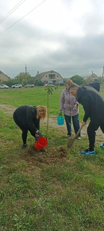 Корни памяти. В преддверии годовщины освобождения Веселовского района от фашистских захватчиков, здесь произошло по-настоящему светлое и символичное событие Корни памяти. В преддверии годовщины освобождения Веселовского района от фашистских захватчиков, здесь произошло по-настоящему светлое и символичное событие