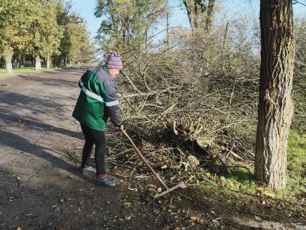 Во Фруктовом продолжаются работы по удалению сухих и аварийных деревьев Во Фруктовом продолжаются работы по удалению сухих и аварийных деревьев