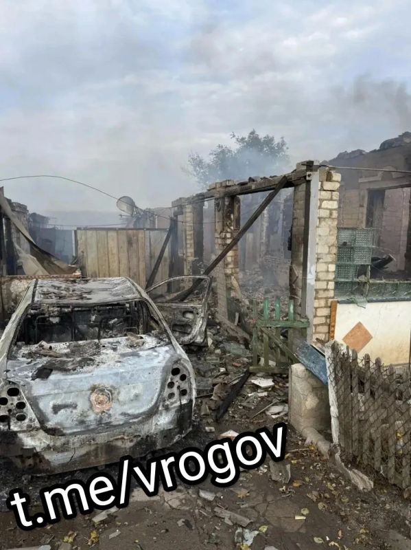 Владимир Рогов: Нацисты ударили по многодетной семье Владимир Рогов: Нацисты ударили по многодетной семье