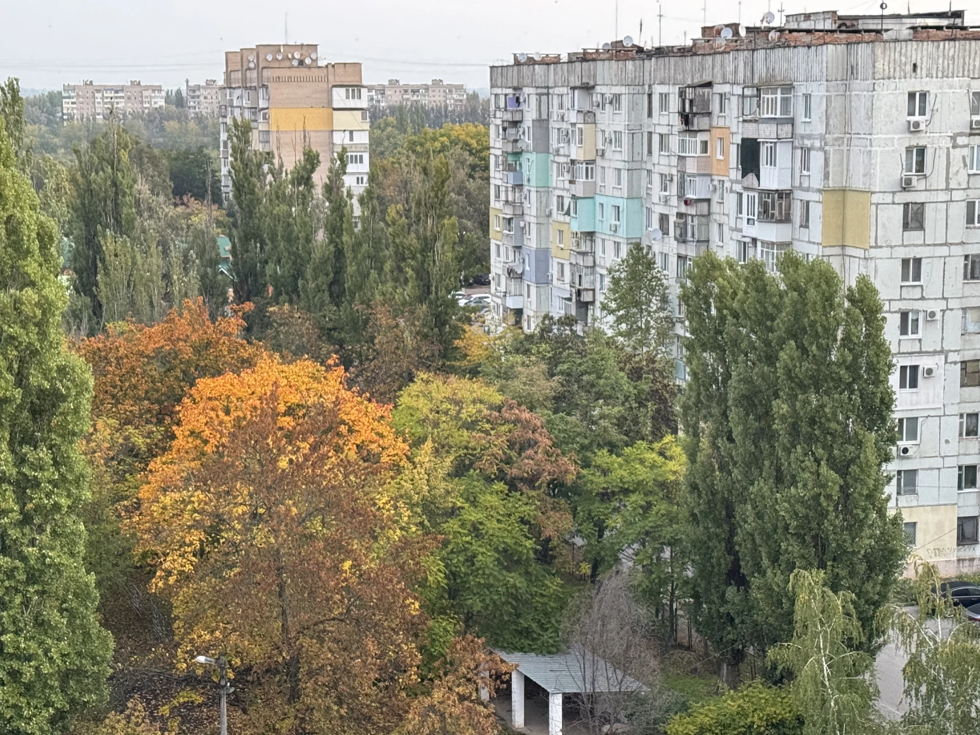 Доброе утро